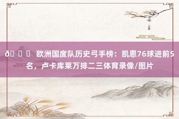 📊 欧洲国度队历史弓手榜：凯恩76球进前5名，卢卡库莱万排二三体育录像/图片