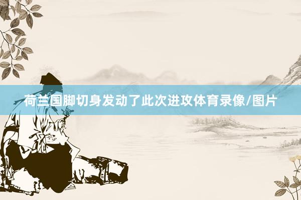 荷兰国脚切身发动了此次进攻体育录像/图片