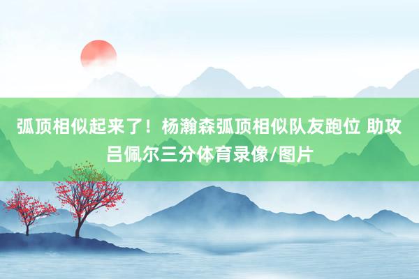 弧顶相似起来了！杨瀚森弧顶相似队友跑位 助攻吕佩尔三分体育录像/图片