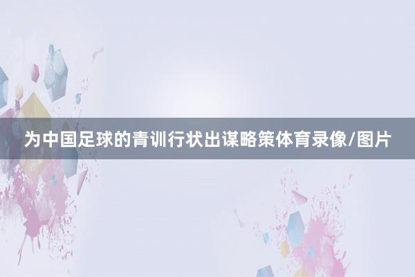 为中国足球的青训行状出谋略策体育录像/图片