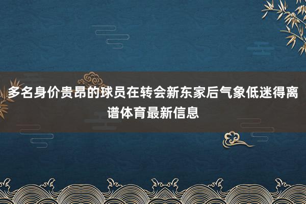 多名身价贵昂的球员在转会新东家后气象低迷得离谱体育最新信息