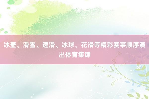 冰壶、滑雪、速滑、冰球、花滑等精彩赛事顺序演出体育集锦