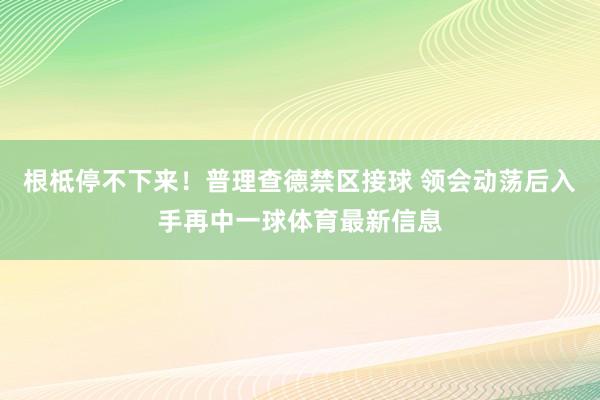 根柢停不下来！普理查德禁区接球 领会动荡后入手再中一球体育最新信息