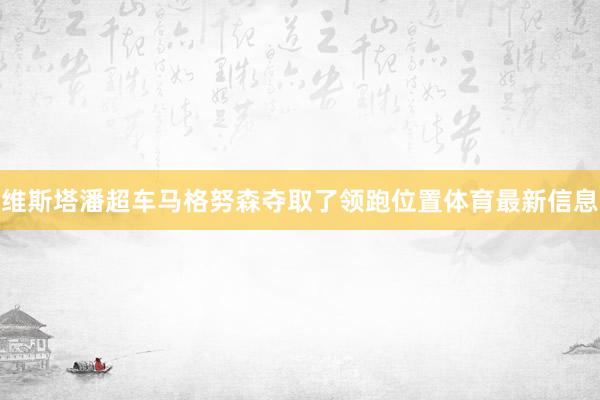 维斯塔潘超车马格努森夺取了领跑位置体育最新信息
