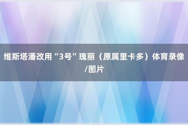 维斯塔潘改用“3号”瑰丽（原属里卡多）体育录像/图片