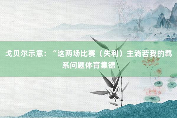 戈贝尔示意:“这两场比赛(失利)主淌若我的羁系问题体育集锦