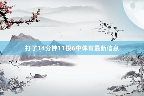 打了14分钟11投6中体育最新信息