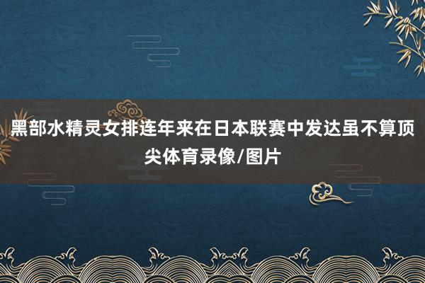 黑部水精灵女排连年来在日本联赛中发达虽不算顶尖体育录像/图片