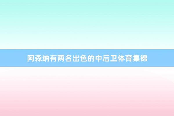 阿森纳有两名出色的中后卫体育集锦