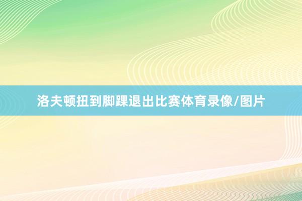 洛夫顿扭到脚踝退出比赛体育录像/图片