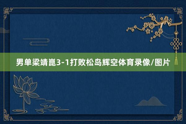男单梁靖崑3-1打败松岛辉空体育录像/图片