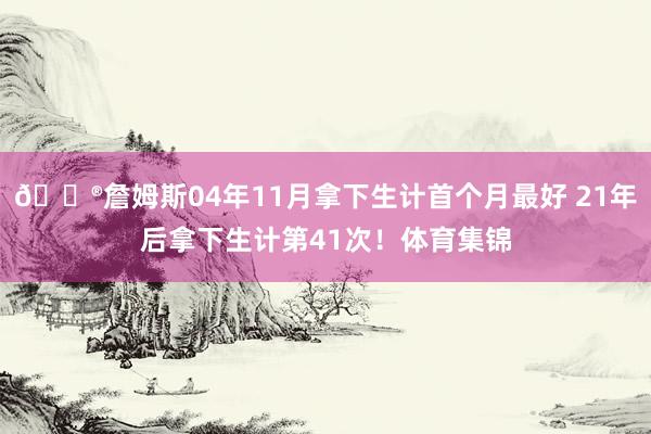 😮詹姆斯04年11月拿下生计首个月最好 21年后拿下生计第41次！体育集锦