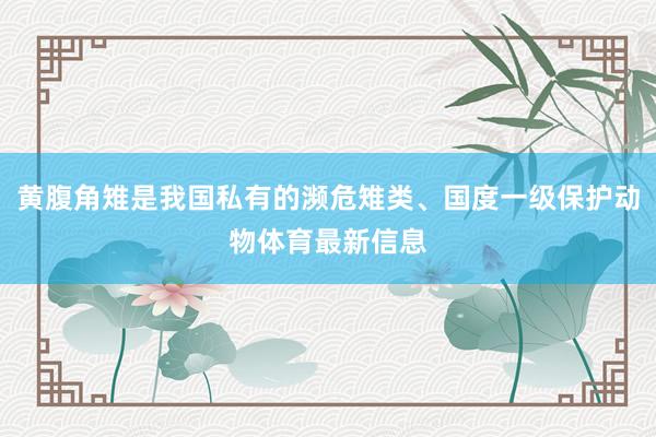 黄腹角雉是我国私有的濒危雉类、国度一级保护动物体育最新信息