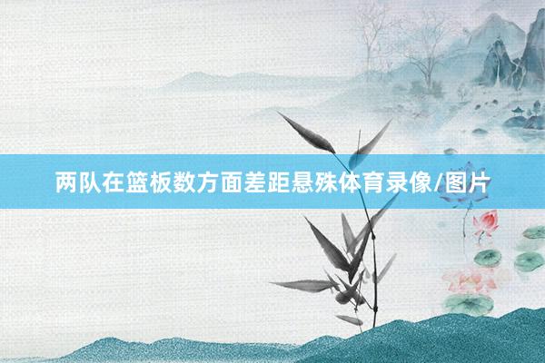 两队在篮板数方面差距悬殊体育录像/图片