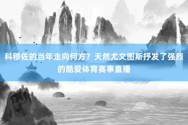 科穆佐的当年走向何方？天然尤文图斯抒发了强烈的酷爱体育赛事直播