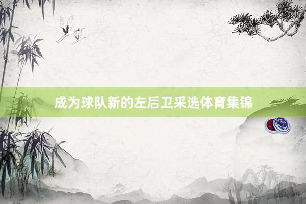 成为球队新的左后卫采选体育集锦