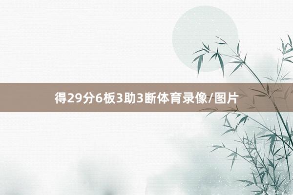 得29分6板3助3断体育录像/图片