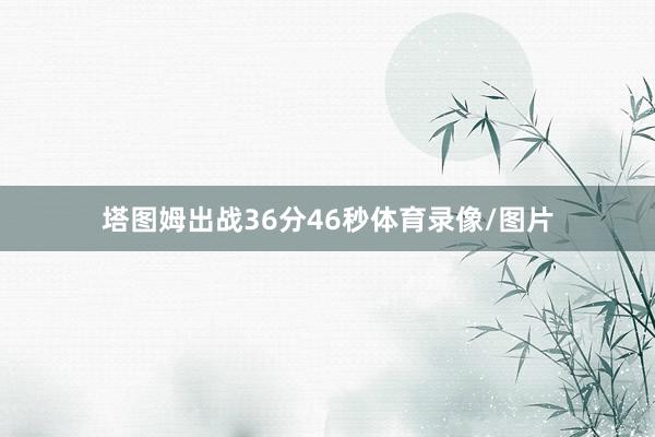 塔图姆出战36分46秒体育录像/图片