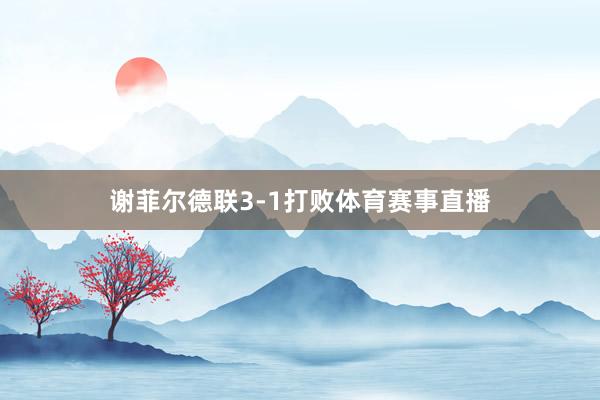 谢菲尔德联3-1打败体育赛事直播