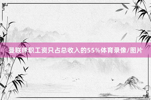 曼联球职工资只占总收入的55%体育录像/图片