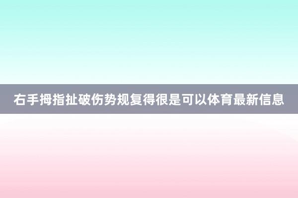 右手拇指扯破伤势规复得很是可以体育最新信息