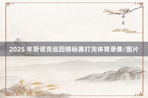 2025 年斯诺克巡回锦标赛打完体育录像/图片