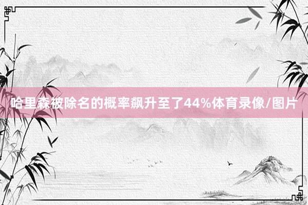 哈里森被除名的概率飙升至了44%体育录像/图片