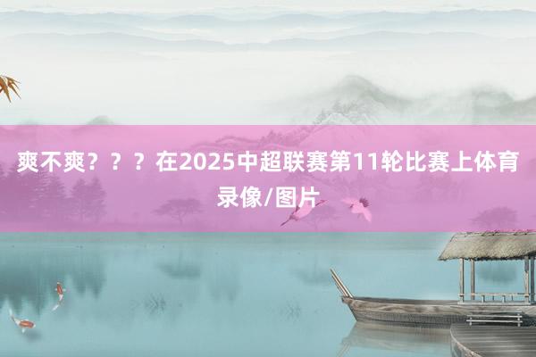 爽不爽？？？在2025中超联赛第11轮比赛上体育录像/图片