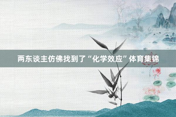 两东谈主仿佛找到了“化学效应”体育集锦