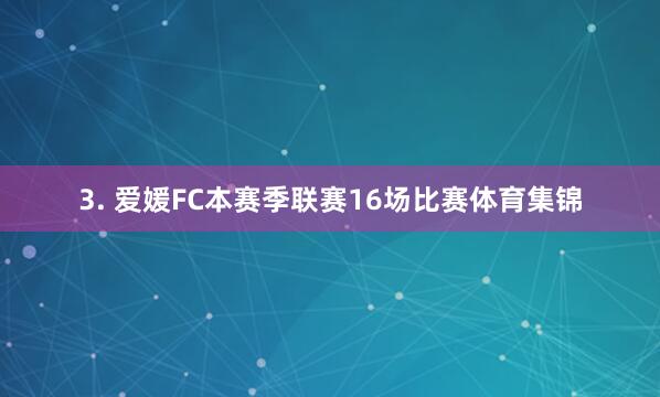 3. 爱媛FC本赛季联赛16场比赛体育集锦
