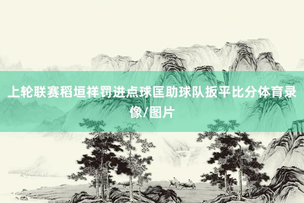 上轮联赛稻垣祥罚进点球匡助球队扳平比分体育录像/图片