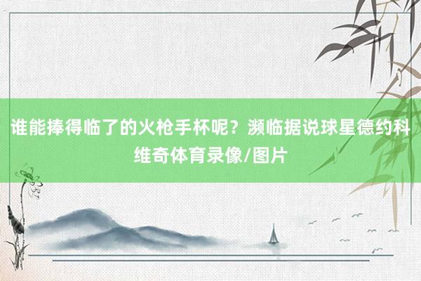 谁能捧得临了的火枪手杯呢？濒临据说球星德约科维奇体育录像/图片