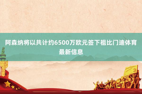阿森纳将以共计约6500万欧元签下祖比门迪体育最新信息