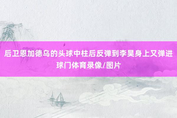 后卫恩加德乌的头球中柱后反弹到李昊身上又弹进球门体育录像/图片
