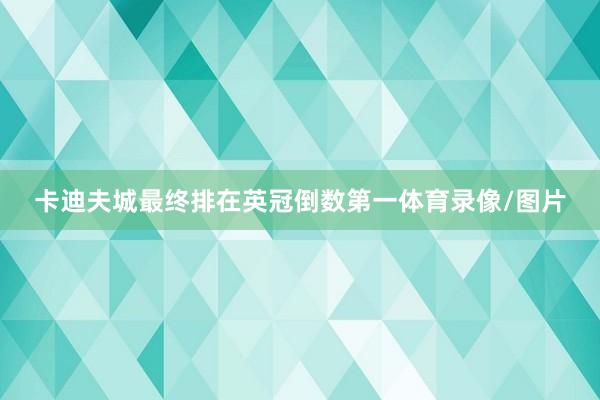 卡迪夫城最终排在英冠倒数第一体育录像/图片