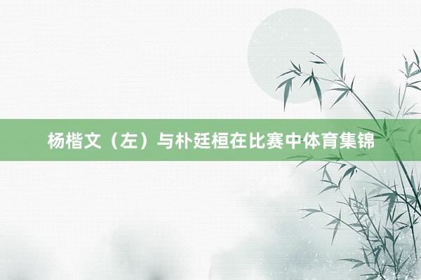 杨楷文(左)与朴廷桓在比赛中体育集锦