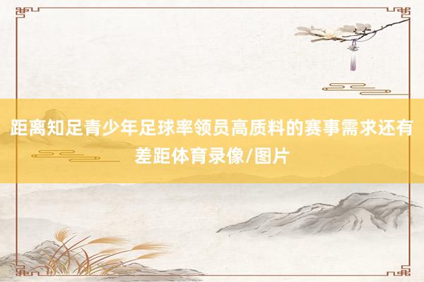 距离知足青少年足球率领员高质料的赛事需求还有差距体育录像/图片