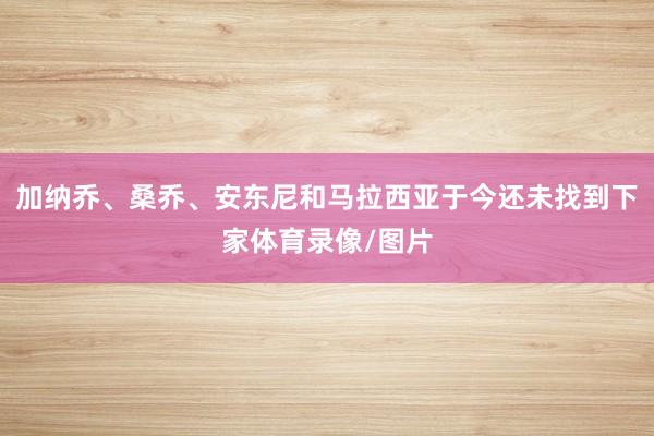 加纳乔、桑乔、安东尼和马拉西亚于今还未找到下家体育录像/图片