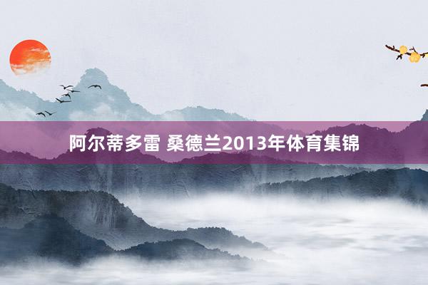 阿尔蒂多雷 桑德兰2013年体育集锦
