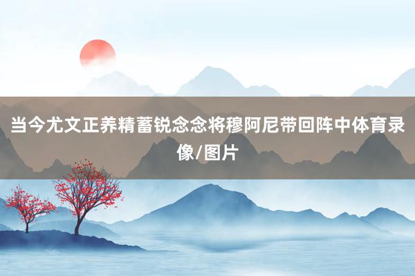 当今尤文正养精蓄锐念念将穆阿尼带回阵中体育录像/图片