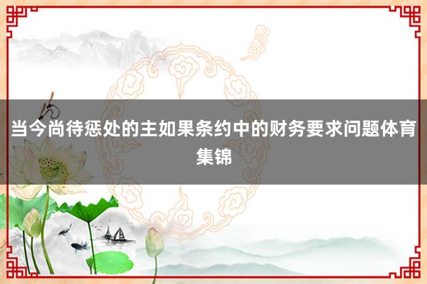 当今尚待惩处的主如果条约中的财务要求问题体育集锦