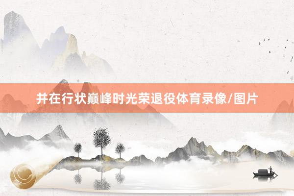 并在行状巅峰时光荣退役体育录像/图片