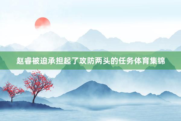 赵睿被迫承担起了攻防两头的任务体育集锦