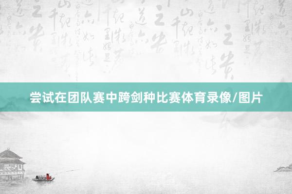 尝试在团队赛中跨剑种比赛体育录像/图片