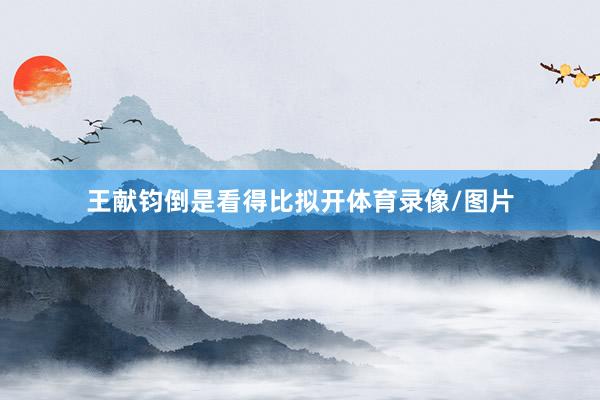 王献钧倒是看得比拟开体育录像/图片