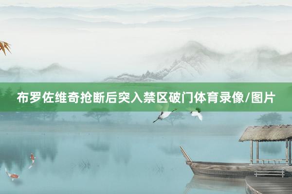 布罗佐维奇抢断后突入禁区破门体育录像/图片