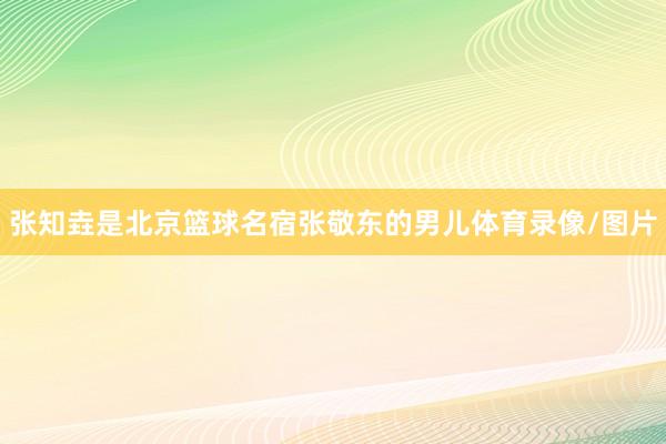 张知垚是北京篮球名宿张敬东的男儿体育录像/图片