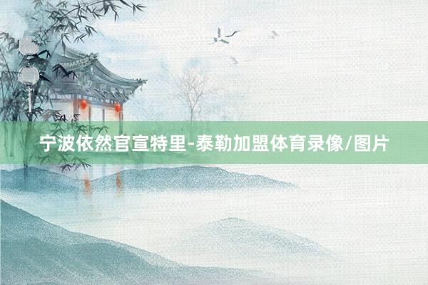 宁波依然官宣特里-泰勒加盟体育录像/图片