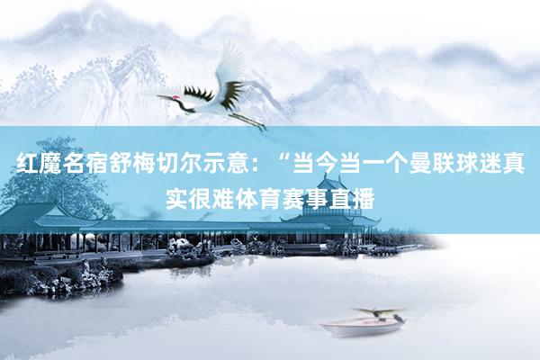红魔名宿舒梅切尔示意：“当今当一个曼联球迷真实很难体育赛事直播