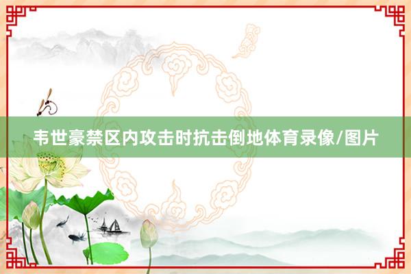 韦世豪禁区内攻击时抗击倒地体育录像/图片